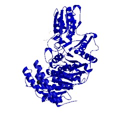 Image of CATH 3mos