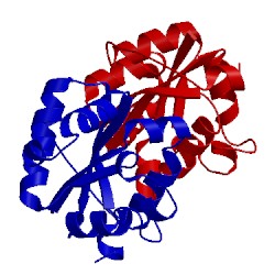 Image of CATH 3mpd
