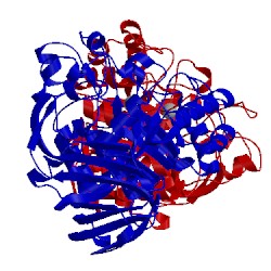 Image of CATH 3mpg