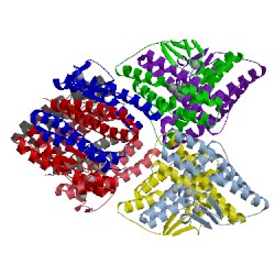 Image of CATH 3mps