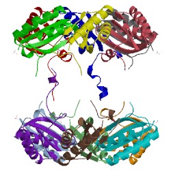 Image of CATH 3mpw