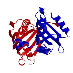 Image of CATH 3mqo