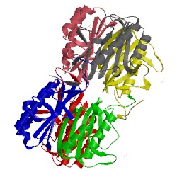 Image of CATH 3mqw