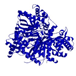 Image of CATH 3mrt