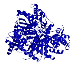 Image of CATH 3ms4