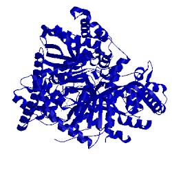 Image of CATH 3msc