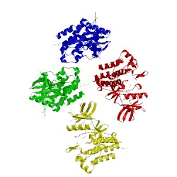 Image of CATH 3mss