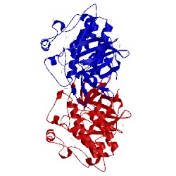 Image of CATH 3mtf