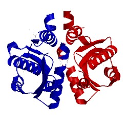 Image of CATH 3mtk