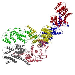 Image of CATH 3mv3