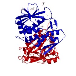 Image of CATH 3mvg
