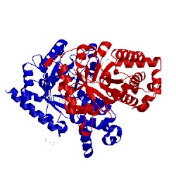 Image of CATH 3mwa