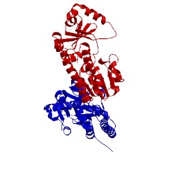 Image of CATH 3mwg