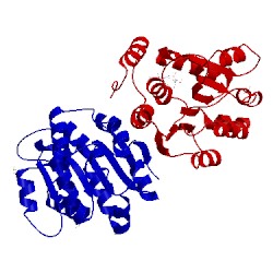 Image of CATH 3mwk