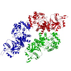 Image of CATH 3mx2