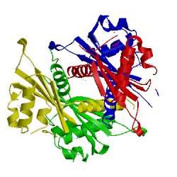 Image of CATH 3mxq