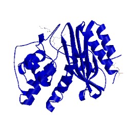 Image of CATH 3mxr