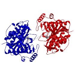 Image of CATH 3mz4