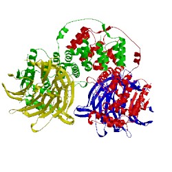 Image of CATH 3mzk