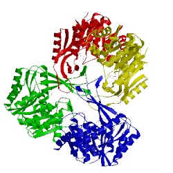 Image of CATH 3n1c