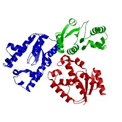 Image of CATH 3n2e