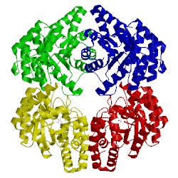 Image of CATH 3n2x