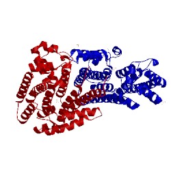 Image of CATH 3n3d