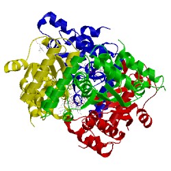 Image of CATH 3n3y