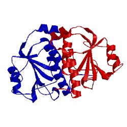 Image of CATH 3n4k