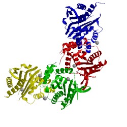 Image of CATH 3n4p