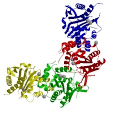 Image of CATH 3n4q