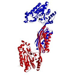 Image of CATH 3n5f