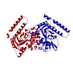 Image of CATH 3n5l