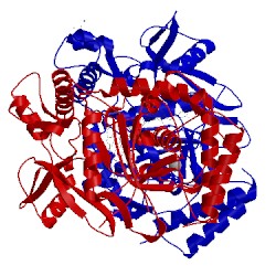 Image of CATH 3n5r