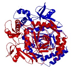 Image of CATH 3n6c