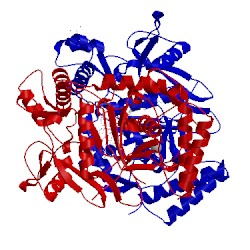 Image of CATH 3n6e