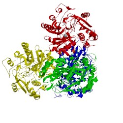 Image of CATH 3n6h