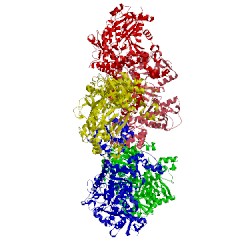 Image of CATH 3n75