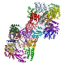 Image of CATH 3n7a