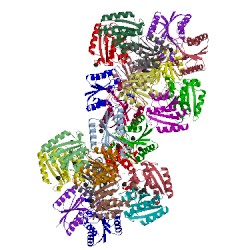Image of CATH 3n8k