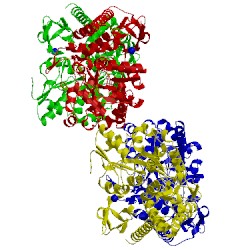 Image of CATH 3n96