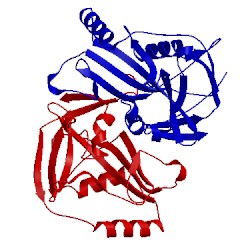 Image of CATH 3n9u