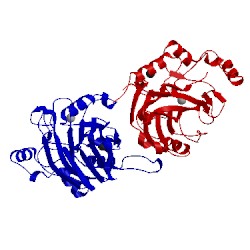 Image of CATH 3n9v