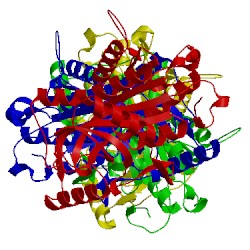 Image of CATH 3nbq