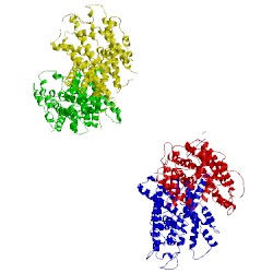 Image of CATH 3ncy