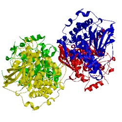 Image of CATH 3ncz