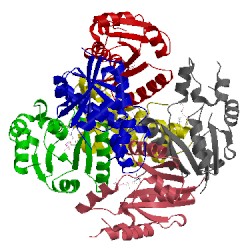 Image of CATH 3nd6