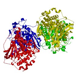 Image of CATH 3ndm