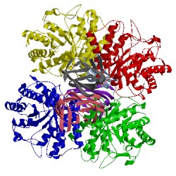 Image of CATH 3ndy