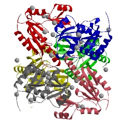 Image of CATH 3ney